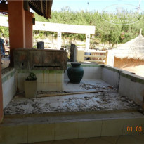 фото из отзыва ID 469277