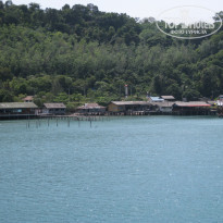 фото из отзыва ID 470104