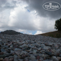 фото из отзыва ID 470227