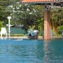 фото из отзыва ID 470351