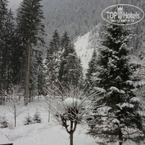 фото из отзыва ID 470447