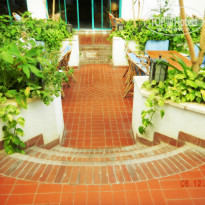 фото из отзыва ID 470452