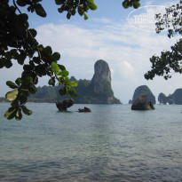 фото из отзыва ID 470549