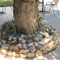 фото из отзыва ID 470588