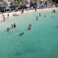 фото из отзыва ID 470786