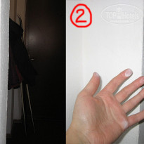 фото из отзыва ID 470839