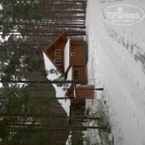 фото из отзыва ID 470944