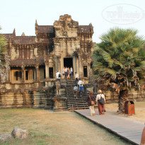 фото из отзыва ID 471009