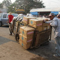 фото из отзыва ID 471009