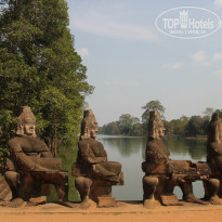 фото из отзыва ID 471009