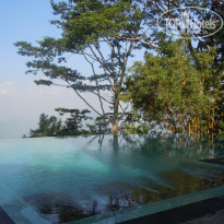 фото из отзыва ID 471032