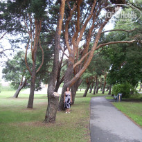 фото из отзыва ID 471113