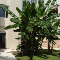 фото из отзыва ID 471175