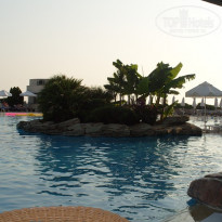 фото из отзыва ID 471175