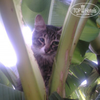 фото из отзыва ID 471247