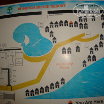 фото из отзыва ID 471358