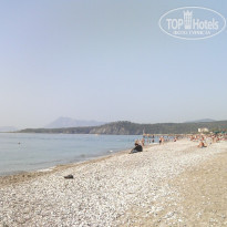 фото из отзыва ID 471386