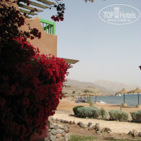 фото из отзыва ID 471395