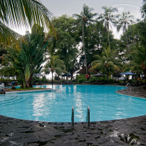 фото из отзыва ID 471899