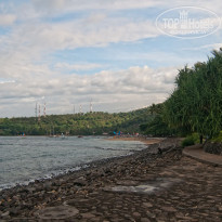 фото из отзыва ID 471899