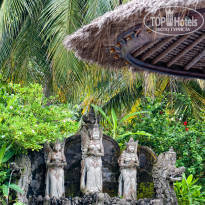 фото из отзыва ID 471899