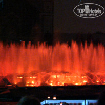 фото из отзыва ID 471907