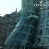 фото из отзыва ID 471907