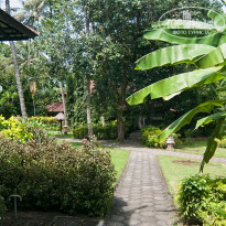 фото из отзыва ID 471899