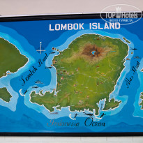 фото из отзыва ID 471899