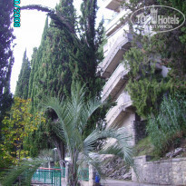 фото из отзыва ID 471030