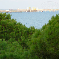 фото из отзыва ID 472022