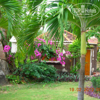 фото из отзыва ID 472162