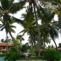 фото из отзыва ID 472224