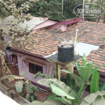 фото из отзыва ID 472412