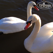 фото из отзыва ID 472603