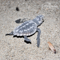 фото из отзыва ID 472697