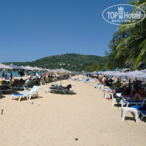 фото из отзыва ID 472825