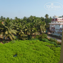 фото из отзыва ID 472967