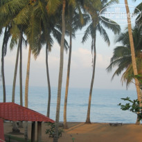 фото из отзыва ID 472993