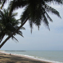 фото из отзыва ID 472993