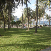 фото из отзыва ID 473133