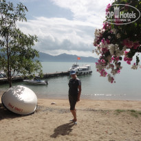 фото из отзыва ID 473133