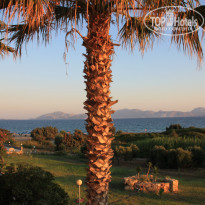 фото из отзыва ID 473238