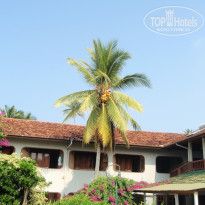 фото из отзыва ID 473390