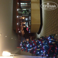 фото из отзыва ID 473503