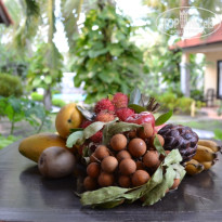 фото из отзыва ID 473533