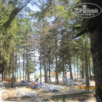 фото из отзыва ID 473788