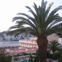 фото из отзыва ID 47495