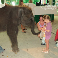 фото из отзыва ID 474467