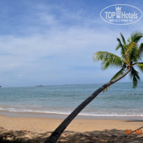 фото из отзыва ID 474458